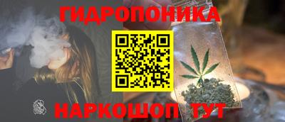 PSILOCYBIN Шелехов