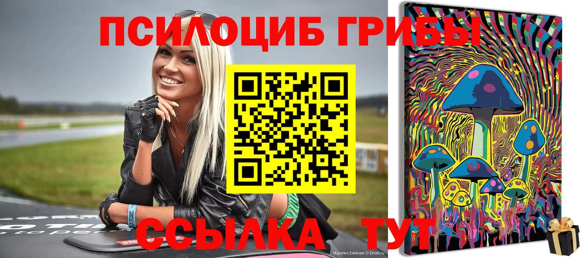 Псилоцибиновые грибы GOLDEN TEACHER Тавда