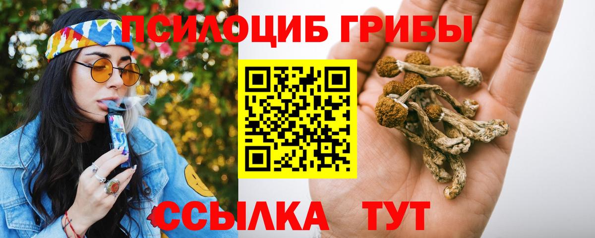 Тавда  Галлюциногенные грибы Cubensis  Вход с VPN 